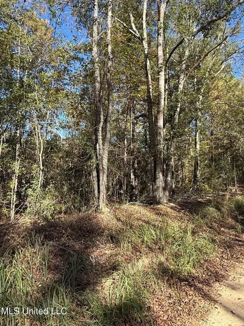 6 25ac Knob Town Rd, State Line, MS 39362 photo 2