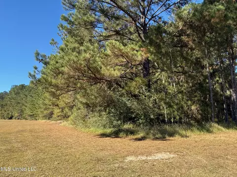 6 25ac Knob Town Rd, State Line, MS 39362