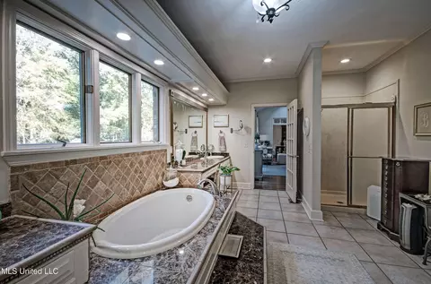 Bath - 422 Warwick Rd, Clinton, MS 39056 photo 5 of 10