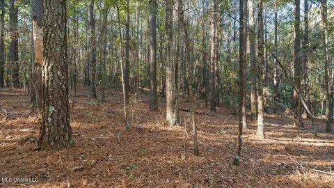 Jimmie Drive, Forest, MS 39074 photo 10