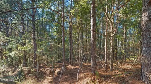 Jimmie Drive, Forest, MS 39074 photo 8