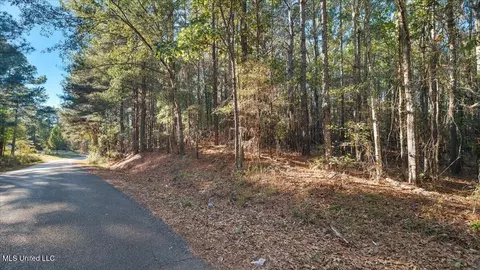 Jimmie Drive, Forest, MS 39074 photo 9