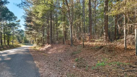 Jimmie Drive, Forest, MS 39074 photo 3