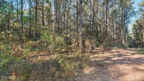 Jimmie Drive, Forest, MS 39074 photo 11