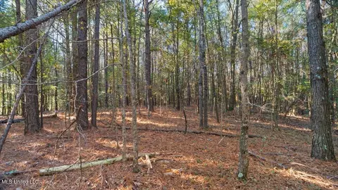 Jimmie Drive, Forest, MS 39074