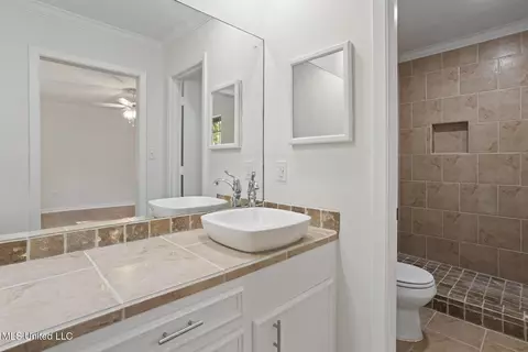 Bath - 116 Oakhill Pl, Brandon, MS 39042 photo 1 of 3