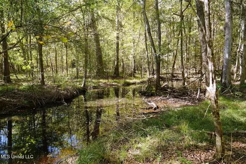 0 SW Jackson Liberty Dr, Smithdale, MS 39664