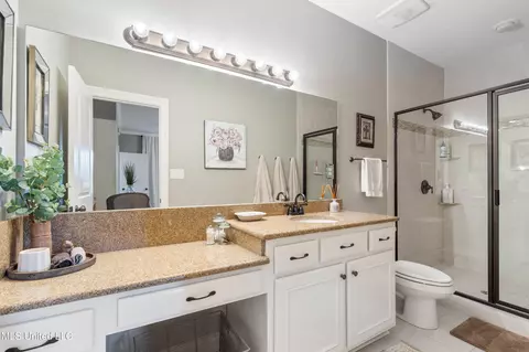 Bath - 2597 Oak Manor Dr, Hernando, MS 38632 photo 4 of 7