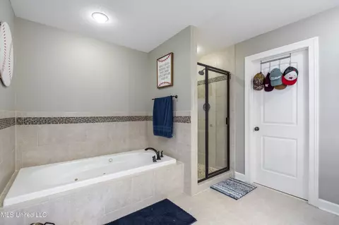 Bath - 2597 Oak Manor Dr, Hernando, MS 38632 photo 6 of 7