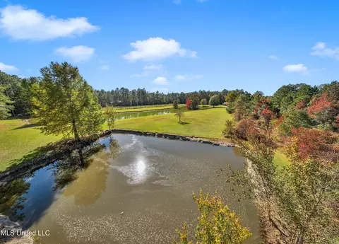 View/Area - 21129 S Fork Rd, Saucier, MS 39574 photo 8 of 16