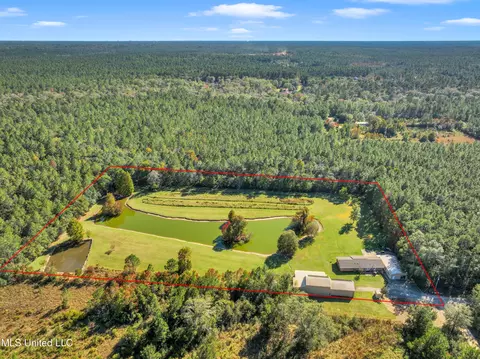 View/Area - 21129 S Fork Rd, Saucier, MS 39574 photo 3 of 16