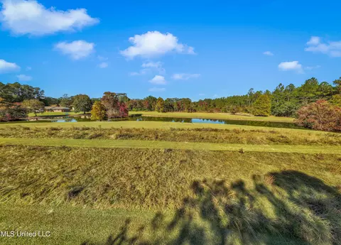 View/Area - 21129 S Fork Rd, Saucier, MS 39574 photo 11 of 16