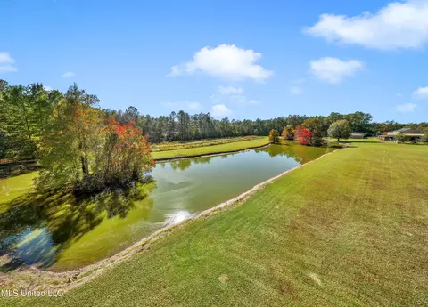 View/Area - 21129 S Fork Rd, Saucier, MS 39574 photo 9 of 16