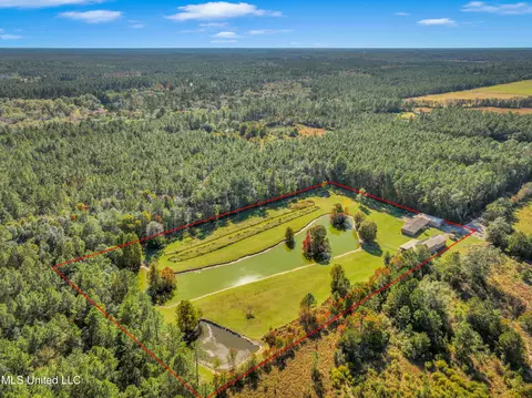 View/Area - 21129 S Fork Rd, Saucier, MS 39574 photo 6 of 16