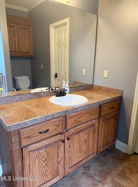 Bath - 128 Lakeway Dr, Madison, MS 39110 photo 1 of 4