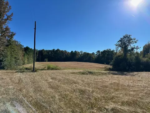 Clara Foote Road, Braxton, MS 39044 photo 2
