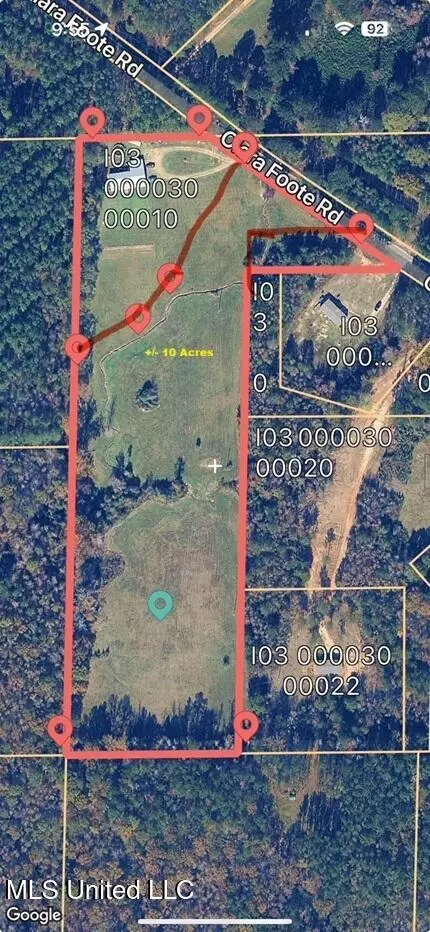 Clara Foote Road, Braxton, MS 39044 photo 10
