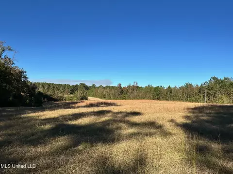 Clara Foote Road, Braxton, MS 39044 photo 4