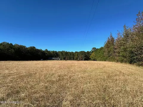 Clara Foote Road, Braxton, MS 39044 photo 3