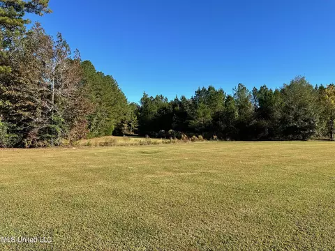 Clara Foote Road, Braxton, MS 39044 photo 8