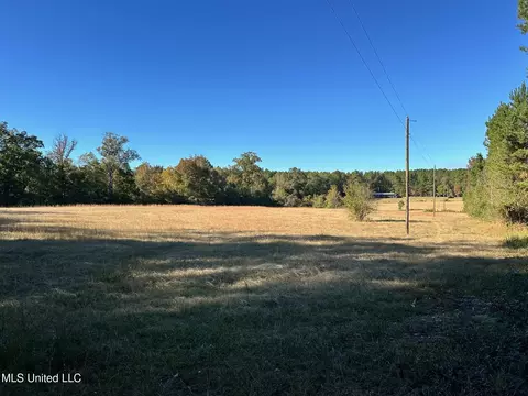 Clara Foote Road, Braxton, MS 39044 photo 6