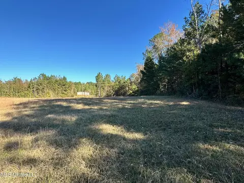 Clara Foote Road, Braxton, MS 39044 photo 5