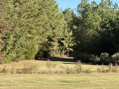 Clara Foote Road, Braxton, MS 39044 photo 9