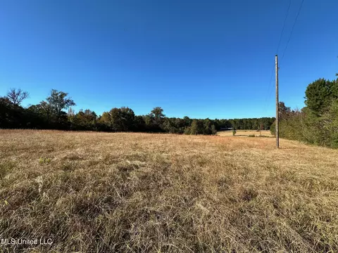 Clara Foote Road, Braxton, MS 39044 photo 7