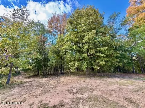 00 Milltowne Dr, Wesson, MS 39191 photo 8