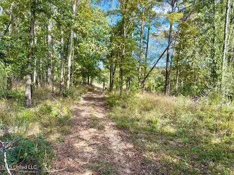 00 Milltowne Dr, Wesson, MS 39191 photo 5