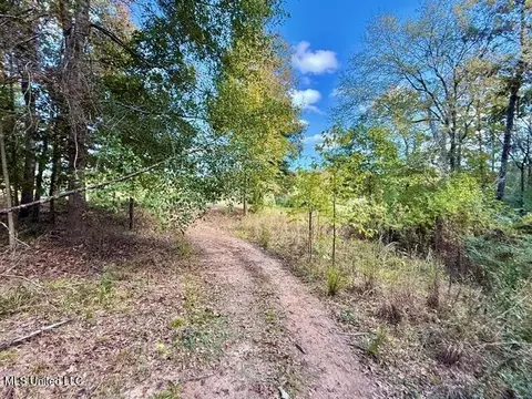 00 Milltowne Dr, Wesson, MS 39191 photo 7