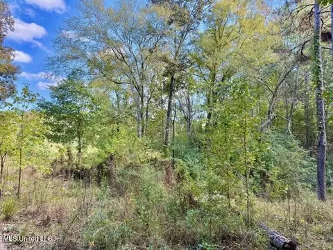00 Milltowne Dr, Wesson, MS 39191 photo 6