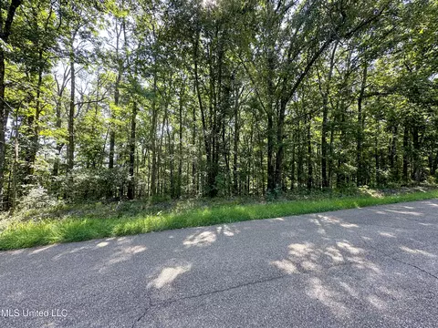 0 Lakeridge Ln, Clinton, MS 39056