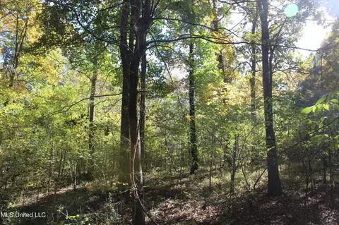 74 Cutter Cv, Byhalia, MS 38611