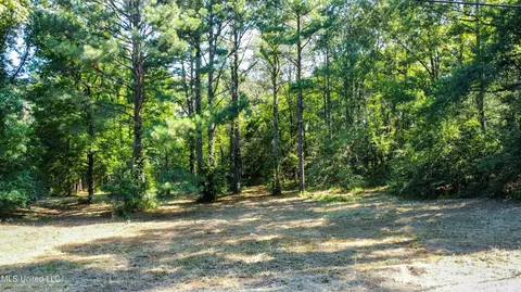 0 Lakeridge Cv, Clinton, MS 39056 photo 4