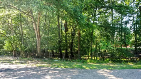 0 Lakeridge Cv, Clinton, MS 39056 photo 5