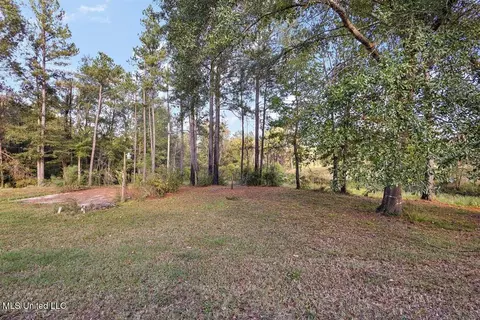 Exterior - 820 Memorial Dr, Braxton, MS 39044 photo 7 of 7