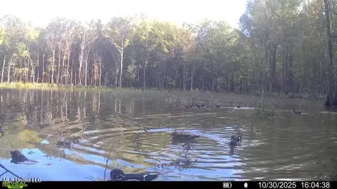 Highway 12, Tchula, MS 39169 photo 14