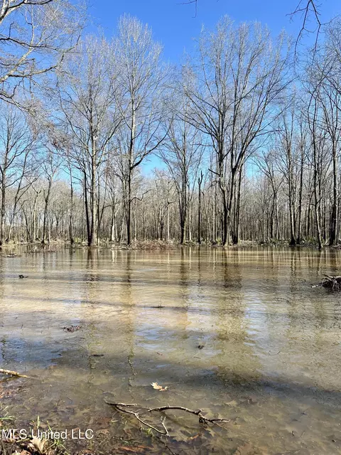 Highway 12, Tchula, MS 39169 photo 20