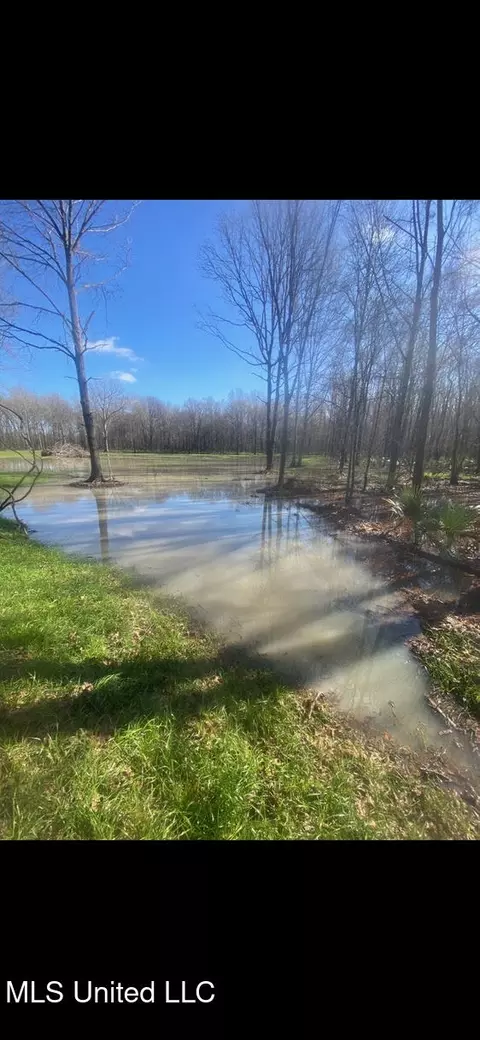 Highway 12, Tchula, MS 39169 photo 17