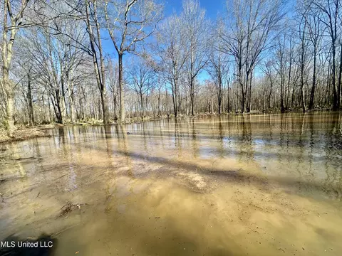 Highway 12, Tchula, MS 39169 photo 21