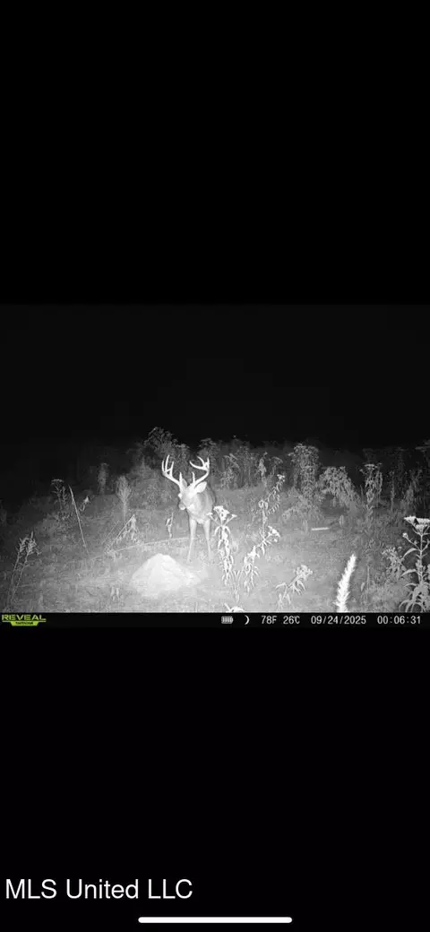 Highway 12, Tchula, MS 39169