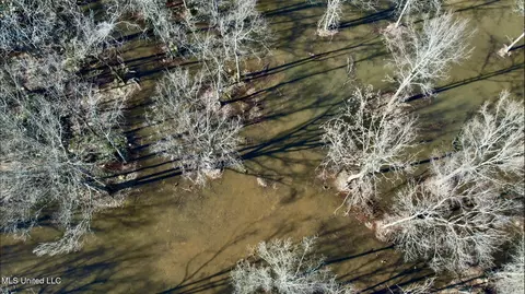 Highway 12, Tchula, MS 39169 photo 7
