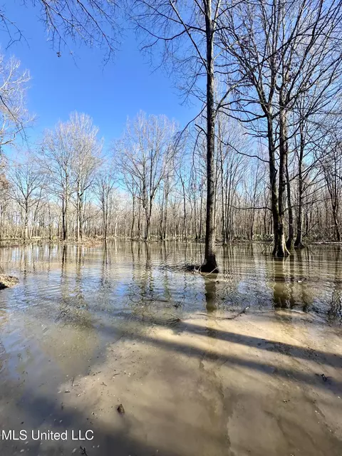 Highway 12, Tchula, MS 39169 photo 28