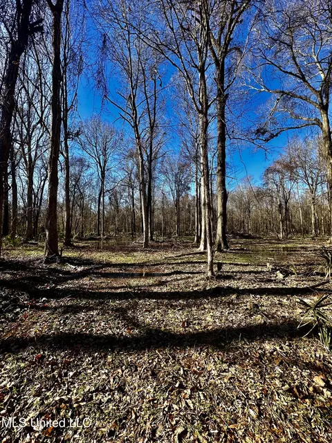 Highway 12, Tchula, MS 39169 photo 25