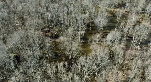 Highway 12, Tchula, MS 39169 photo 8