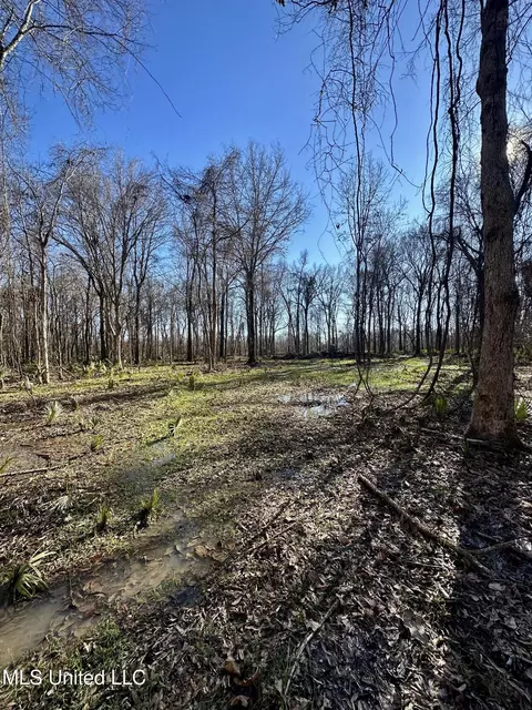 Highway 12, Tchula, MS 39169 photo 27