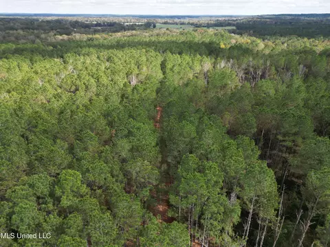 503 S Hwy 13, Mendenhall, MS 39114