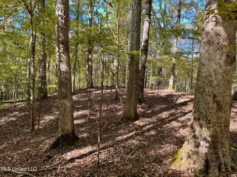 tbd Cr 493, Oxford, MS 38655