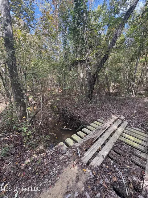 222 Byrd Rd, Pinola, MS 39149 photo 15